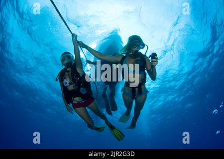 Divers (MR) doing a safety stop on the anchor line before surfacing,  Hawaii. Stock Photo