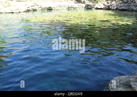 Dzibilchaltun, Mexico, :Cenote Xlacah situated in Dzibilchaltun zona archeologica area in Mexico Stock Photo