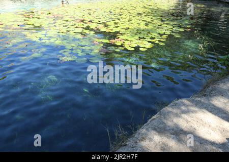 Dzibilchaltun, Mexico, :Cenote Xlacah situated in Dzibilchaltun zona archeologica area in Mexico Stock Photo