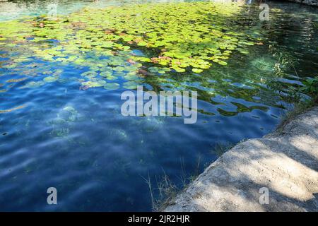 Dzibilchaltun, Mexico, :Cenote Xlacah situated in Dzibilchaltun zona archeologica area in Mexico Stock Photo