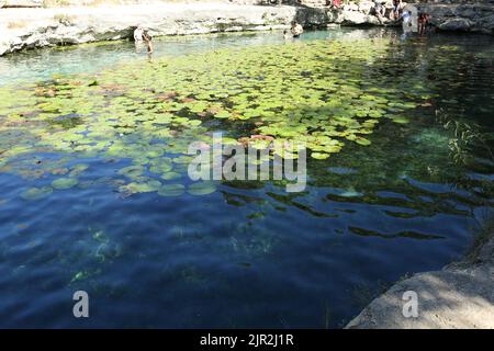 Dzibilchaltun, Mexico, :Cenote Xlacah situated in Dzibilchaltun zona archeologica area in Mexico Stock Photo