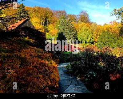 Shaded natural stone path in the botanical garden in Bielefeld on a beautiful autumn day in November. The Japanese maple on the left is golden colored Stock Photo