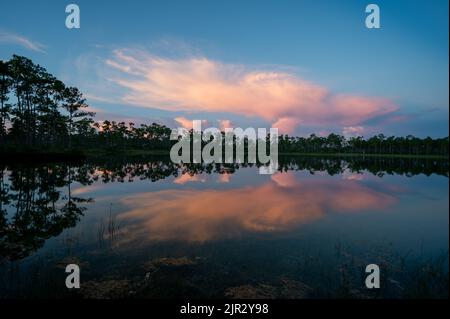 Colorful summer sunrise cloudscape over Long Pine Key reflected in perfectly calm lake water in Everglades National Park, Florida. Stock Photo