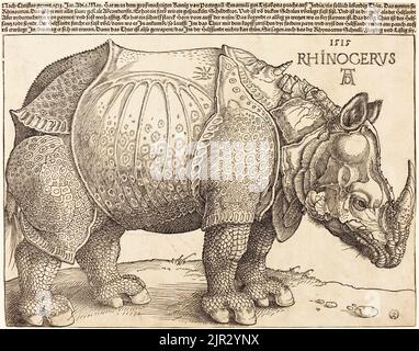 The Rhinoceros. Albrecht Dürer. 1515 Stock Photo