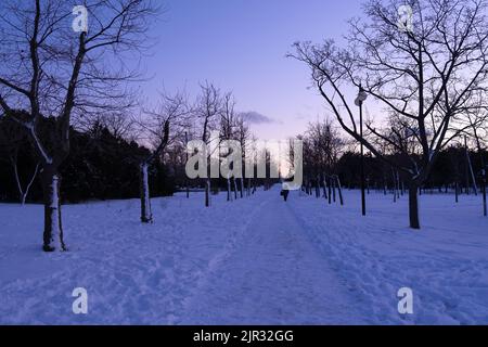 Winter Park path. Purple winter landscape. Evening in the snowy city park. The concept of winter walks in the fresh air, jogging. Solitude and silence Stock Photo
