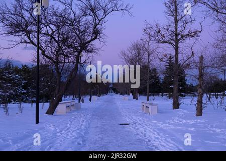 Winter Park path. Purple winter landscape. Evening in the snowy city park. The concept of winter walks in the fresh air. an active lifestyle. Solitude Stock Photo