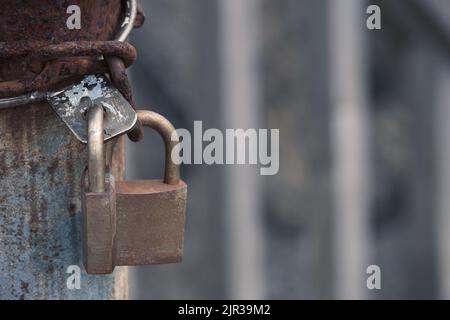 Two locked padlocks and cage bars Stock Photo