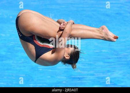 Foro Italico, Rome, Italy. 16th Aug, 2022. European Swimming Championships Rome 2022: Elena Bertocchi gold medal diving 1m springboard Credit: Action Plus Sports/Alamy Live News Stock Photo