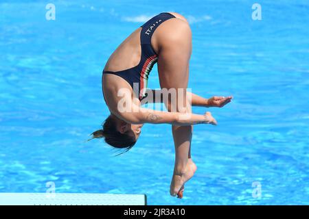 Foro Italico, Rome, Italy. 16th Aug, 2022. European Swimming Championships Rome 2022: Elena Bertocchi gold medal diving 1m springboard Credit: Action Plus Sports/Alamy Live News Stock Photo