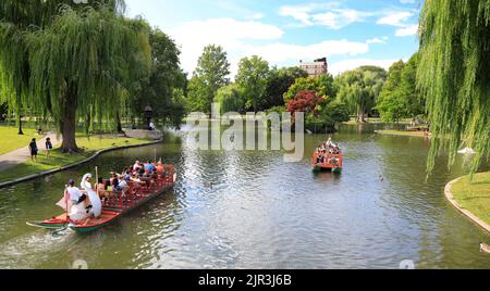 Tourists riding and enjoying Swan boats on the lake, Public Garden in Boston. The boats have been in operation since 1877, and have since become a cul Stock Photo