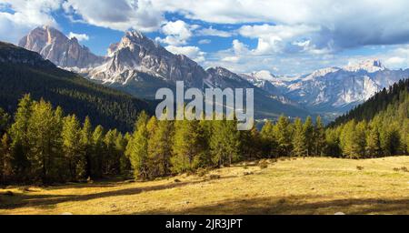 View of meadow, Larch wood, Le Tofane Gruppe and Hohe Gaisl, Alps Dolomites mountains, Italy Stock Photo