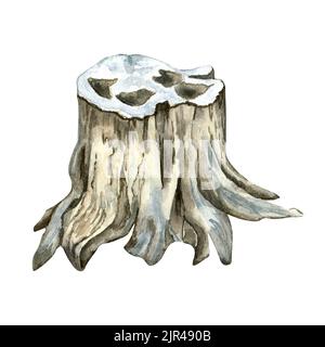 Stump, wood texture watercolor illustration isolated on white background. Snow stub, old tree hand drawn. Elements for design Christmas cards, poster, Stock Photo