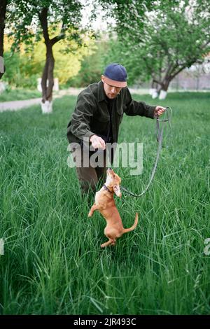 Dog training concept. Attractive caucasian man in baseball cap standing on a grass in park and dachshund puppy jumps up. Young male with dachshund outdoors. High quality image Stock Photo