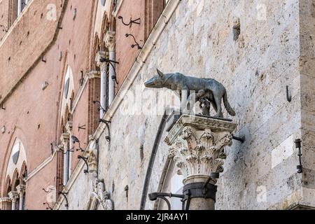 Capitoline Wolf statue on marble capitol in front of 'Palazzo Pubblico', shot in bright summer light at Siena, Tuscany, Italy Stock Photo