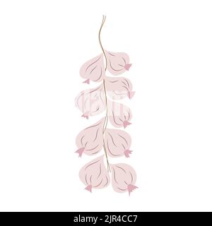Garlic knitting. Vector isolated on a white background. Stock Vector