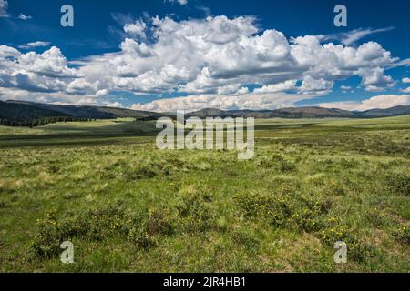 Cumulus clouds over montane grassland at Valle Grande, at Valles Caldera National Preserve, New Mexico, USA Stock Photo