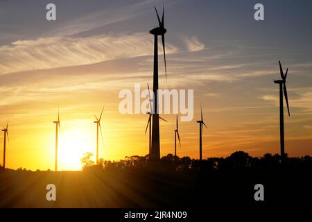 Beautiful sunset above the windmills on the field Stock Photo