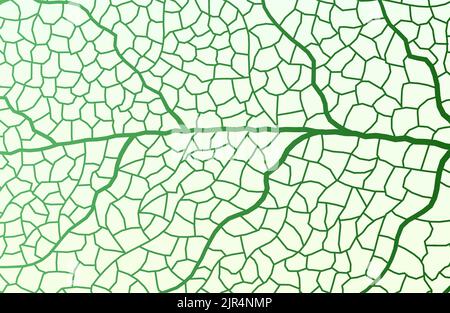 Leaf vein vector texture isolated transparent autumn black detail botanical vein leaf organic Stock Vector