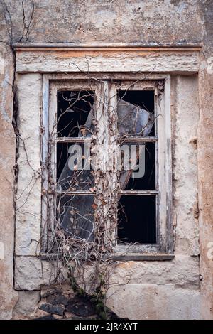 An old broken rural window without glass with a dry vine hanging on the cracked exterior wall of a rustic abandoned house in Portugal Stock Photo