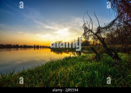 Evening landscape. River Vah after sunset with a old tree and grass in  foreground, calm cove, colorful sky. Reflections on water. Trencin, Slovakia Stock Photo