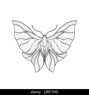 Art nouveau style basic butterfly element. 1920-1930 years vintage design. Symbol motif design. Isolated on white. Stock Vector