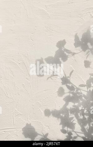 Shadow of flowers on beige concrete wall texture background Stock Photo