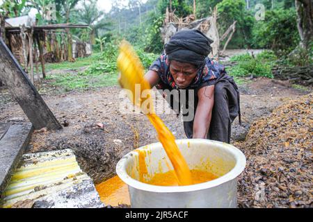 Artisanal production of palm oil called 'Seketa' (Stir) in the local language by women from the village of Mpety in Walikale, North Kivu (eastern DR Congo), 15 December 2021.  Fabrication artisanale de l’huile de palme appelee en langue locale “Seketa“ (Remuer) par des femmes du village Mpety  a Walikale au Nord Kivu (Est de la RD Congo), le 15 Decembre 2021. Stock Photo