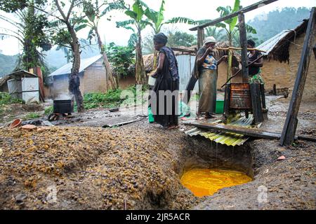 Artisanal production of palm oil called in local language 'Seketa' (Stir) under the rain by women of the village Mpety in Walikale, North Kivu (Eastern DR Congo), 15 December 2021.  Fabrication artisanale de l’huile de palme appelee en langue locale “Seketa“ (Remuer) sous la pluie par des femmes du village Mpety  a Walikale au Nord Kivu (Est de la RD Congo), le 15 Decembre 2021. Stock Photo