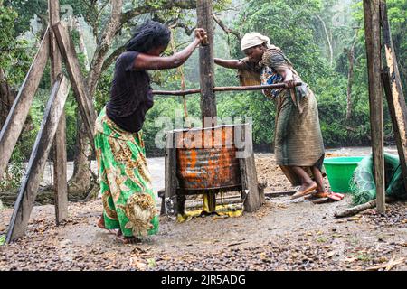 Artisanal production of palm oil called in local language 'Seketa' (Stir) under the rain by women of the village Mpety in Walikale, North Kivu (Eastern DR Congo), 15 December 2021.  Fabrication artisanale de l’huile de palme appelee en langue locale “Seketa“ (Remuer) sous la pluie par des femmes du village Mpety  a Walikale au Nord Kivu (Est de la RD Congo), le 15 Decembre 2021. Stock Photo