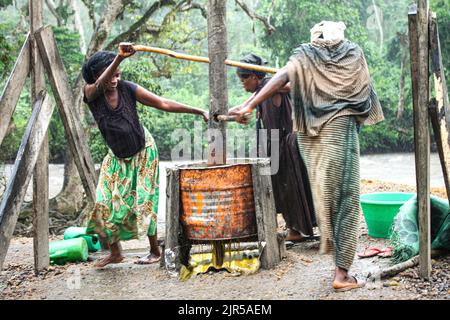 Artisanal production of palm oil called in local language 'Seketa' (Stir) under the rain by women of the village Mpety in Walikale, North Kivu (Eastern DR Congo), 15 December 2021.  Fabrication artisanale de l’huile de palme appelee en langue locale “Seketa“ (Remuer) sous la pluie par des femmes du village Mpety  a Walikale au Nord Kivu (Est de la RD Congo), le 15 Decembre 2021. Stock Photo