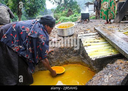 Artisanal production of palm oil called 'Seketa' (Stir) in the local language by women from the village of Mpety in Walikale, North Kivu (eastern DR Congo), 15 December 2021.  Fabrication artisanale de l’huile de palme appelee en langue locale “Seketa“ (Remuer) par des femmes du village Mpety  a Walikale au Nord Kivu (Est de la RD Congo), le 15 Decembre 2021. Stock Photo