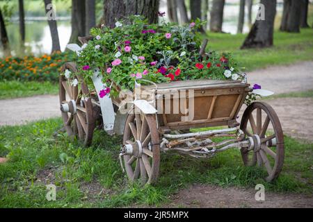 Flowers in a wooden carriage Stock Photo