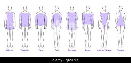 Set of Men body shape types: triangle, column, trapezium, circle, oval,  square, inverted. Male Vector outline sketch isolated illustration  silhouette 9 head size Gentlemen figure front view boy Stock Vector Image 