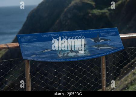 Sumburgh Head RSPB Reserve, visitor information boards, Shetland Stock Photo