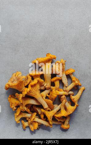 Edible woodland mushroom Chanterelle with a yellow funnel-shaped cap. Nutrition food. Raw mushrooms. Stock Photo