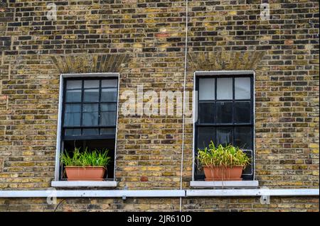 LONDON - May 20, 2022: Two old windows and plant pots on old brick wall Stock Photo