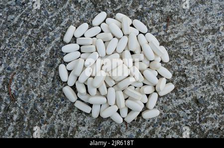 Expired medicine, healthcare concept. prescription drugs on a concrete background. Stock Photo