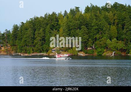 FRIDAY HARBOR, WA -1 OCT 2021- View of a seaplane on the water in the port of Friday Harbor, San Juan Islands, Washington State, United States. Stock Photo