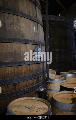 Port barrels in the Quinta S. Luiz with Port wine on the Douro valley estate in Northern Portugal Stock Photo