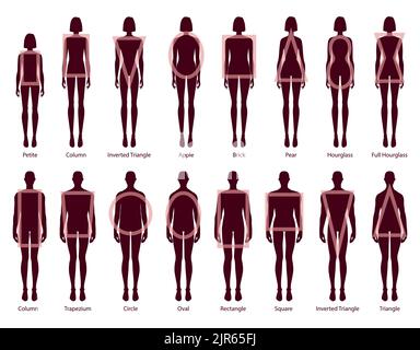 Set of female body shape types - triangle, pear, hourglass, apple, rounded,  inverted triangle, rectangle. Woman figure types. Vector illustration.  616544 Vector Art at Vecteezy