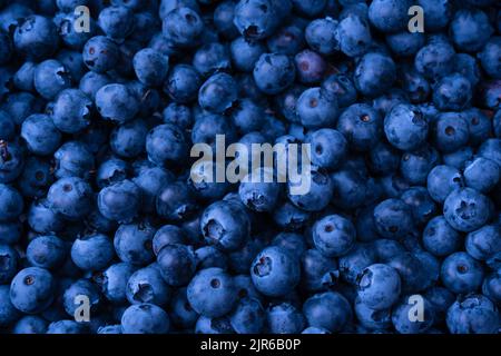 Fresh blueberry as a background. Texture blueberry berries close up. Stock Photo
