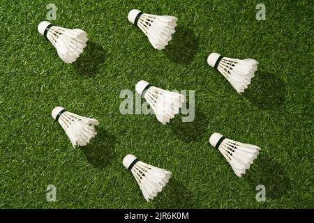 Badminton shuttlecocks on green grass. Concept of sport lifestyle. Stock Photo
