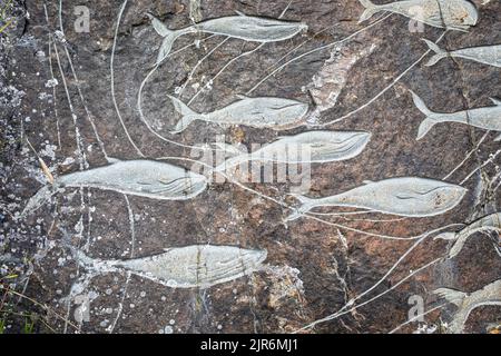 Whale carvings in stone on rock face in Qaqortoq, Greenland on 13 July 2022 Stock Photo