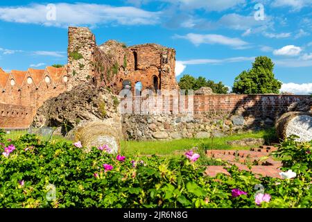 Teutonic Castle ruins (Ruiny zamku krzyżackiego w Toruniu) from 14th century, Torun, Poland Stock Photo