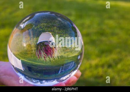 Close up view of upside-down reflection of pot with  colorful plant in glass ball on man's hand. Stock Photo