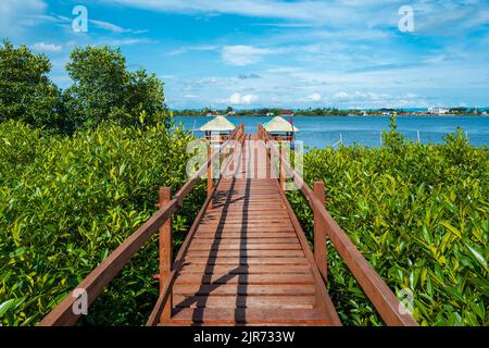 A narrow bridge  surrounded by trees leading to stilt houses on the water in Leyte, Philippines Stock Photo