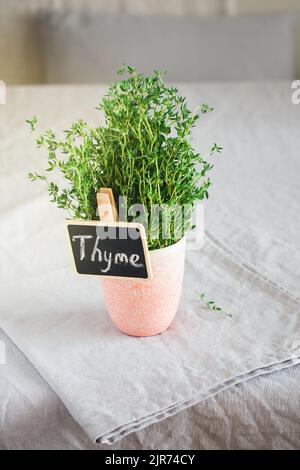 A bunch of fresh thyme in a cup on the table. Stock Photo