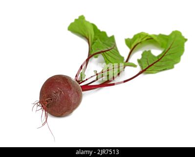Beetroot with leaves isolated on white background Stock Photo