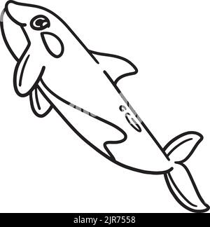 Killer Whale Isolated Coloring Page for Kids Stock Vector