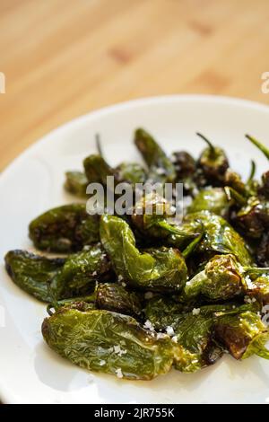 Spanish Blistered Padrón Peppers (Pimientos de Padrón) Stock Photo